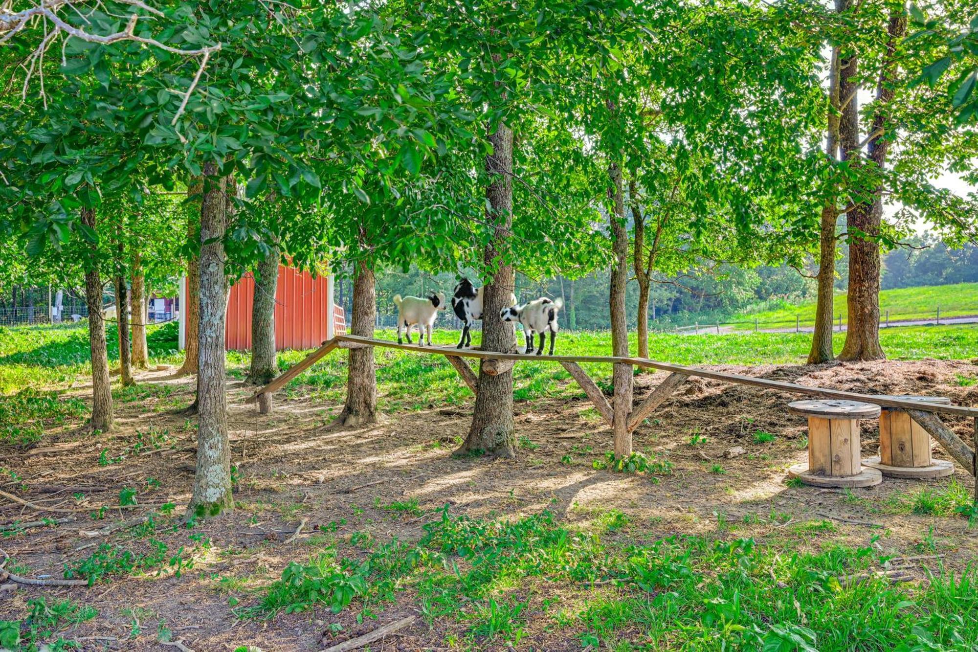 Almost Heaven Too 50-Acre Escape With Pond! Brownsville المظهر الخارجي الصورة
